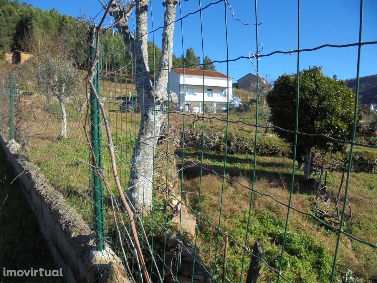 Quinhão Hereditário - Covilhã - Grande imagem: 2/2