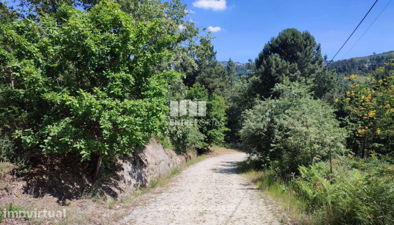 Venda Terreno com 4228m2, Soalhães, Marco de Canaveses - Grande imagem: 2/30