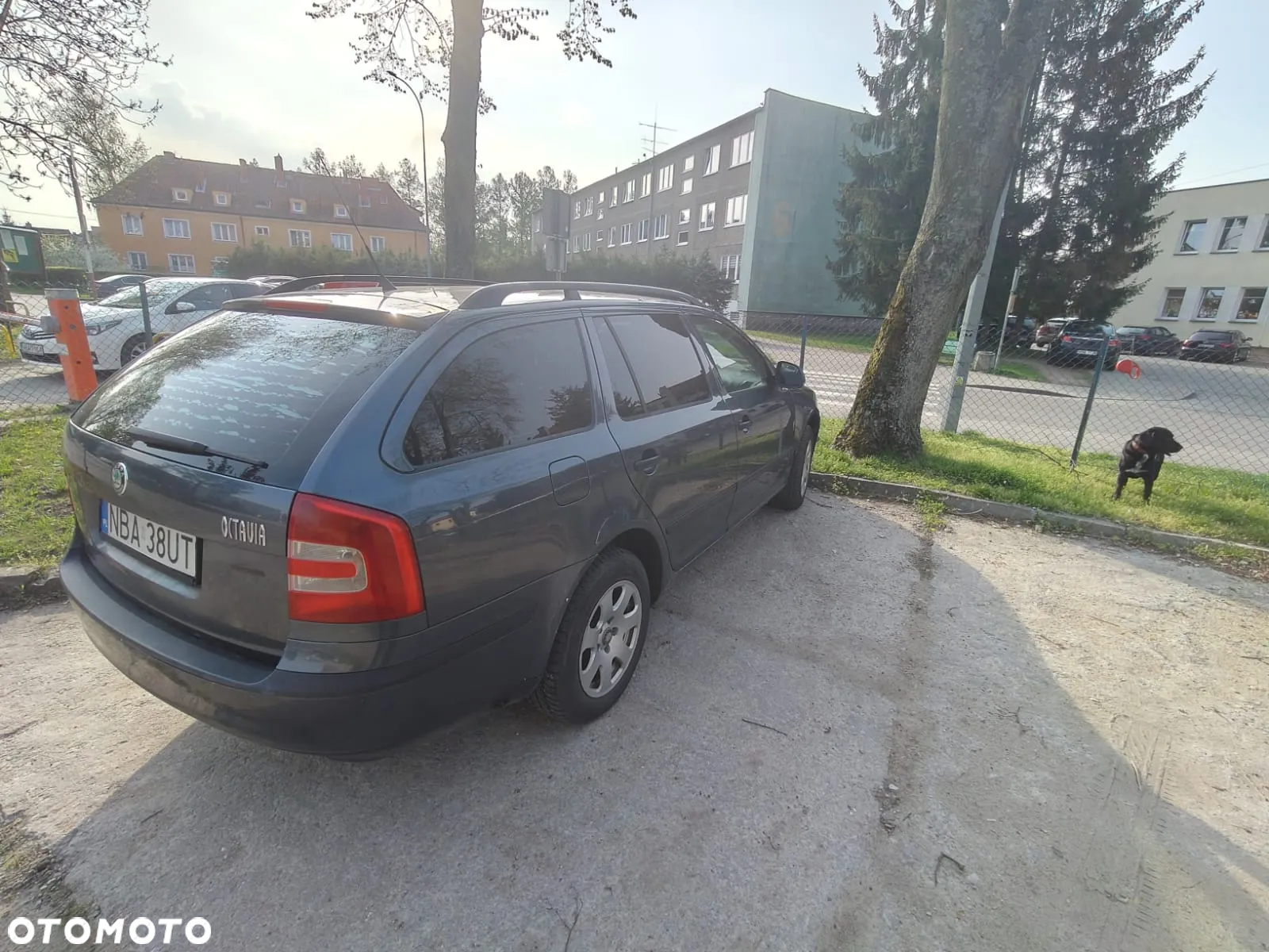 Skoda Octavia 1.6 Tour - 10