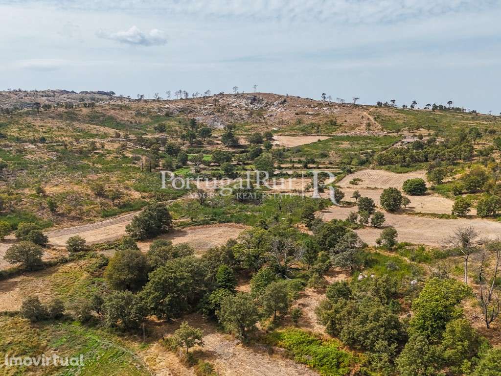 Quinta de 24ha com potencial para Turismo - Grande imagem: 5/57