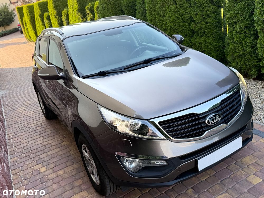 Kia Sportage 1.6 GDI L 2WD - 37