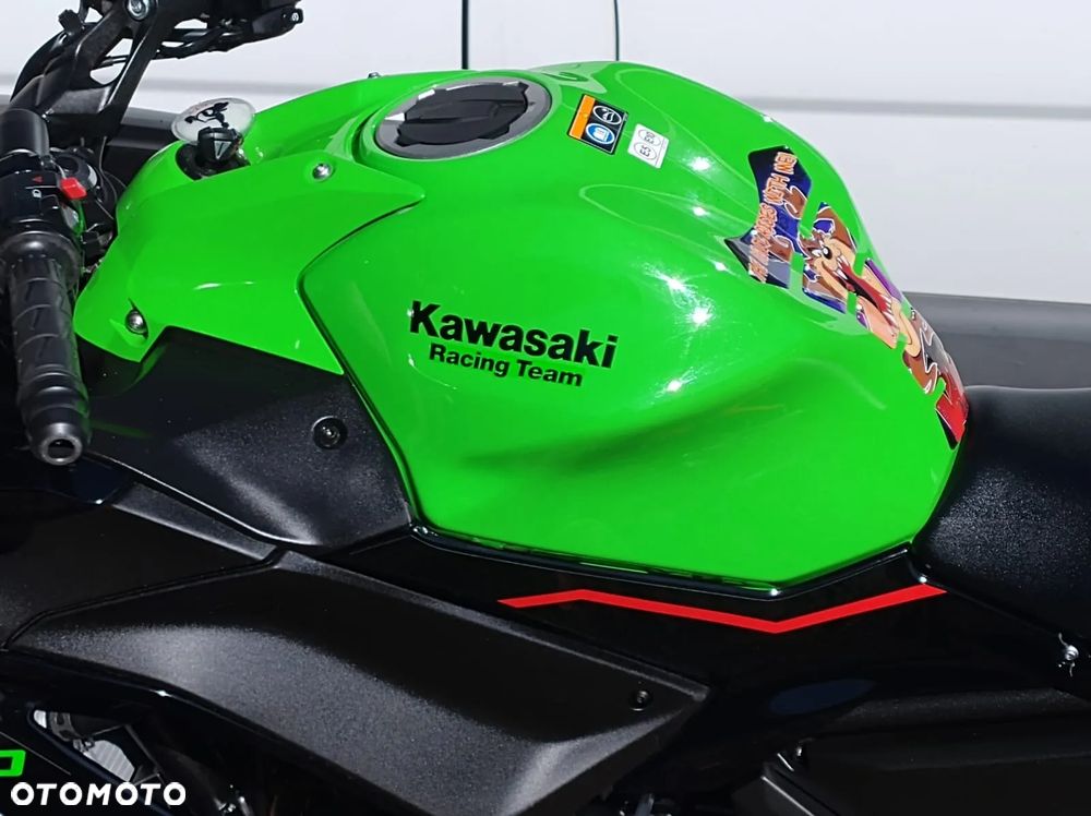 Kawasaki Ninja - 21