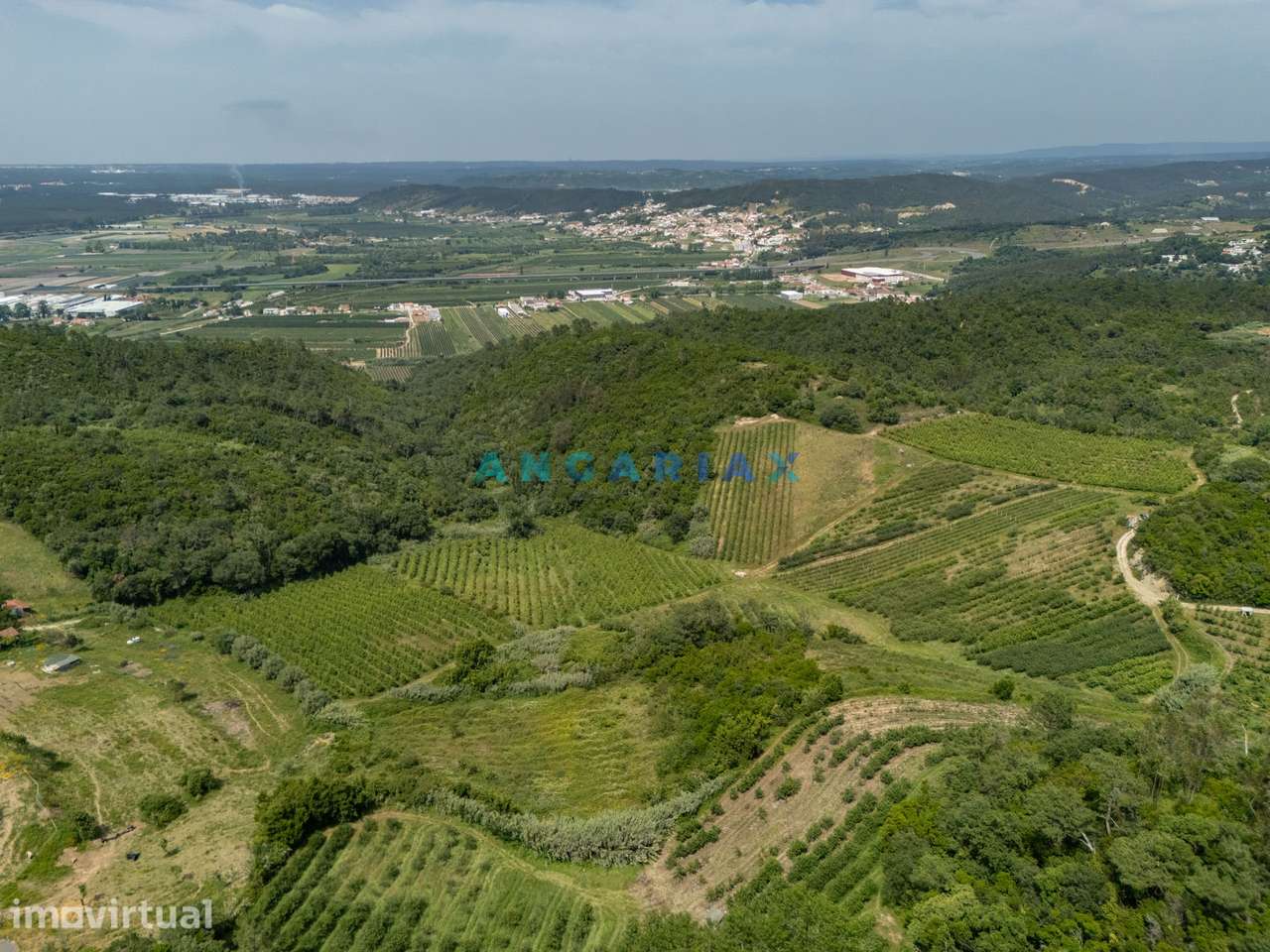 ANG1645 - Terreno para Venda em Vestiaria, Alcobaça - Grande imagem: 5/37