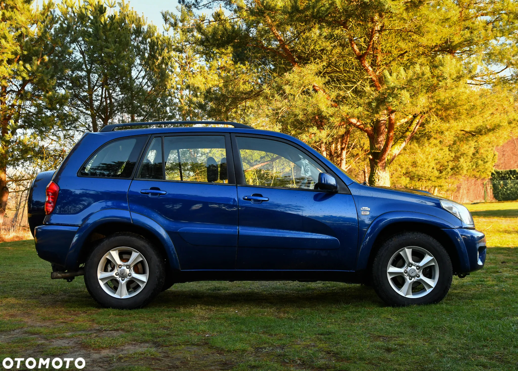 Toyota RAV4 2.0 D-4D 4x4 - 12