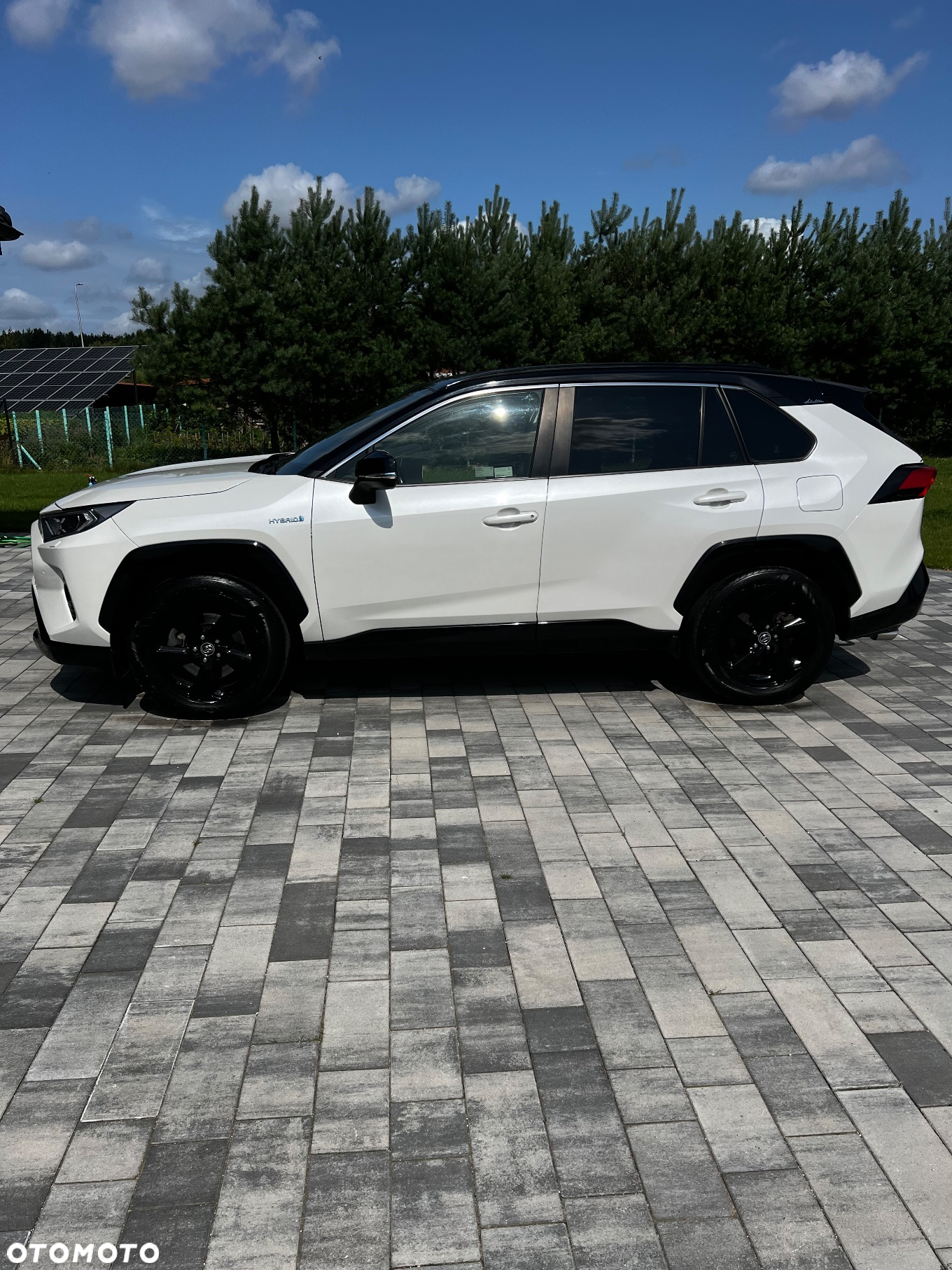Toyota RAV4 2.5 Hybrid Executive 4x4 - 11