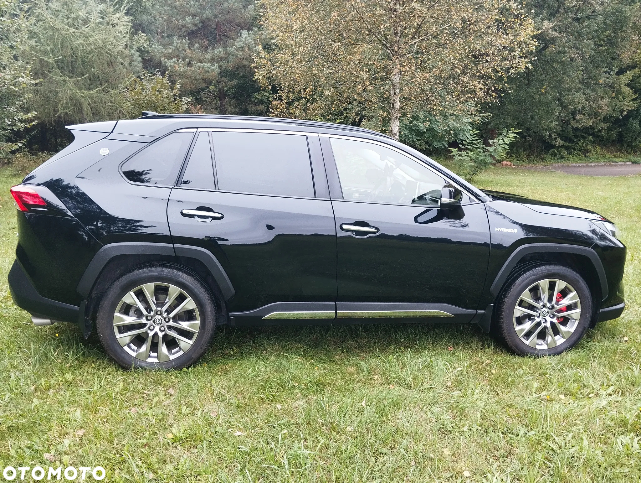 Toyota RAV4 - 6