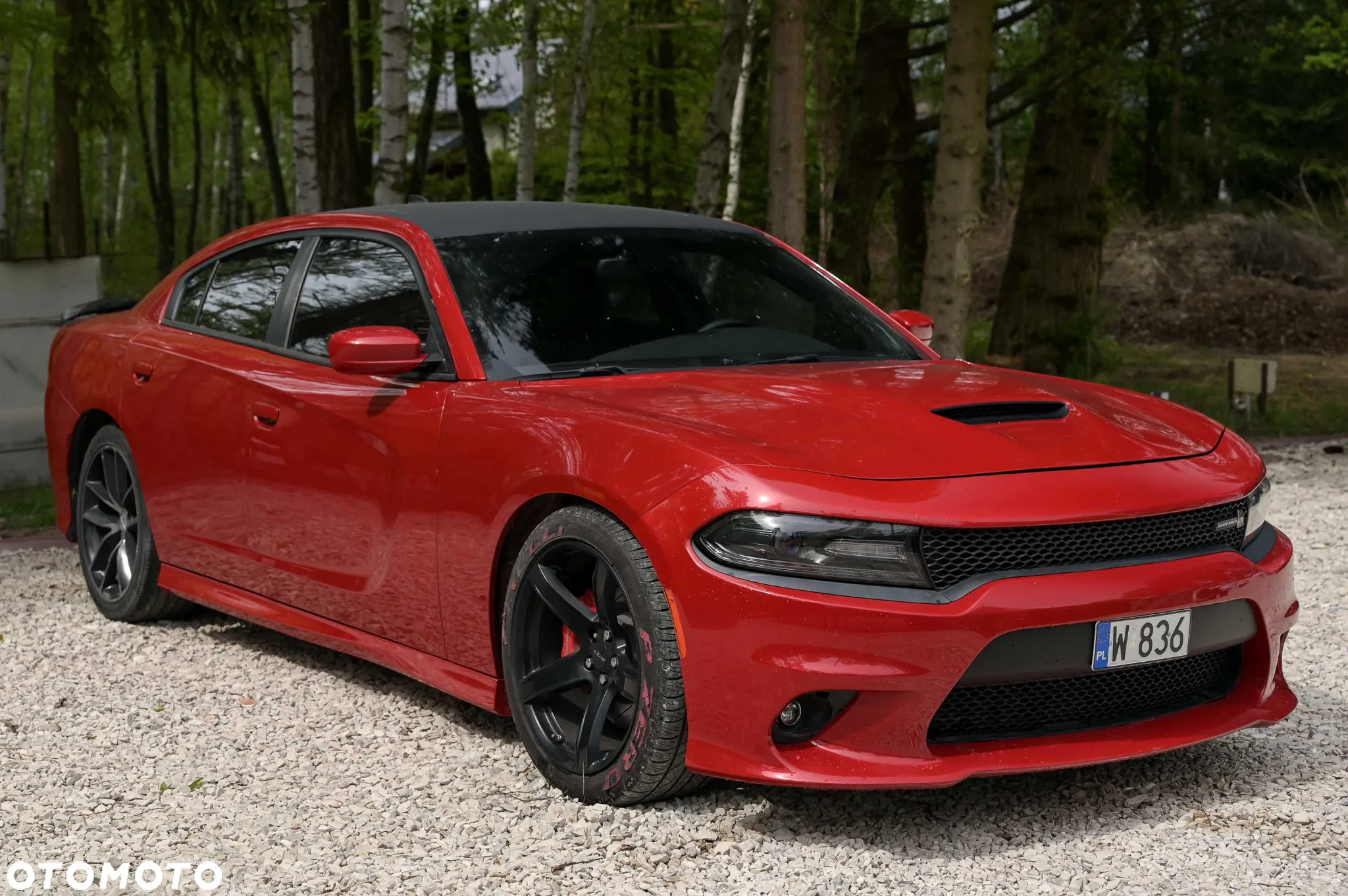 Dodge Charger 6.4 Scat Pack - 5