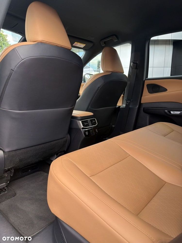 Lexus RX - 19