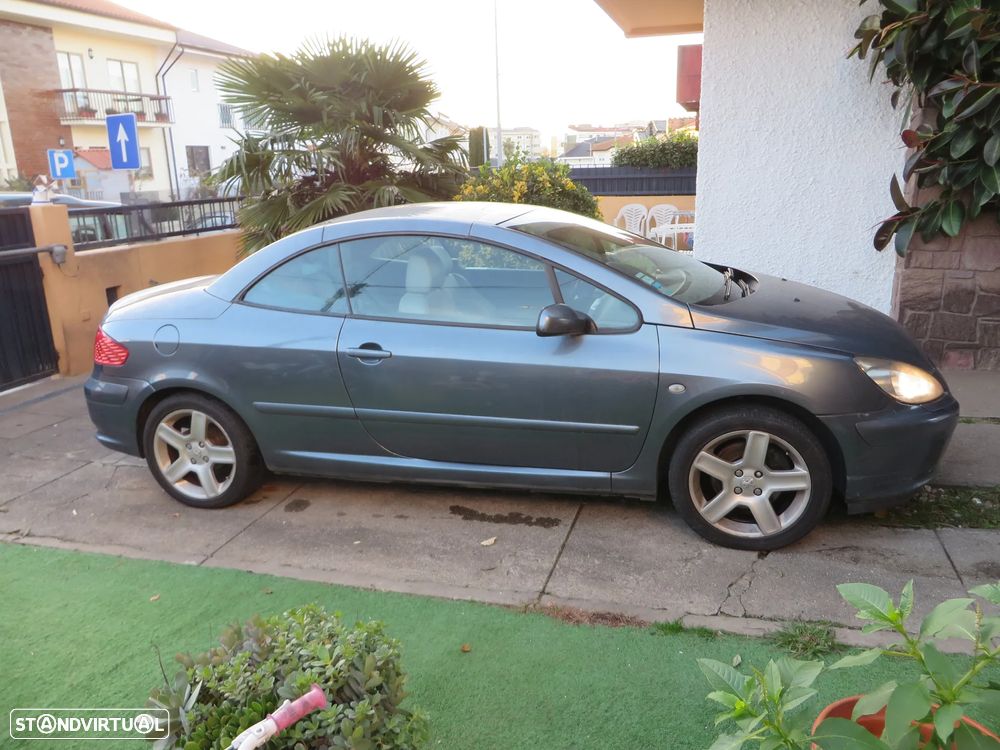 Peugeot 307 CC 2.0 Sport - 19