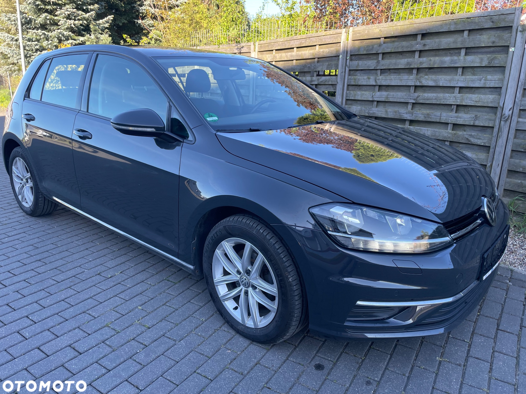Volkswagen Golf - 19
