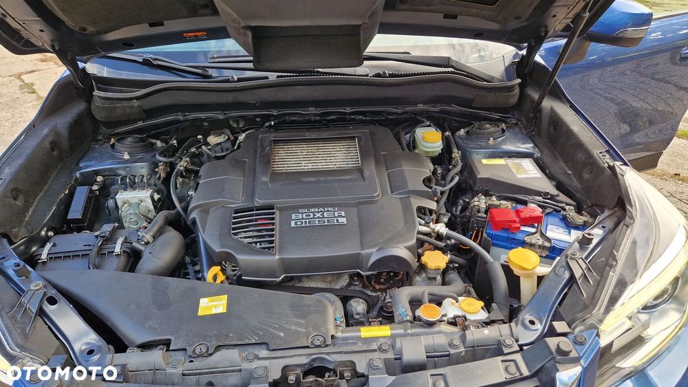 Subaru Forester - 17