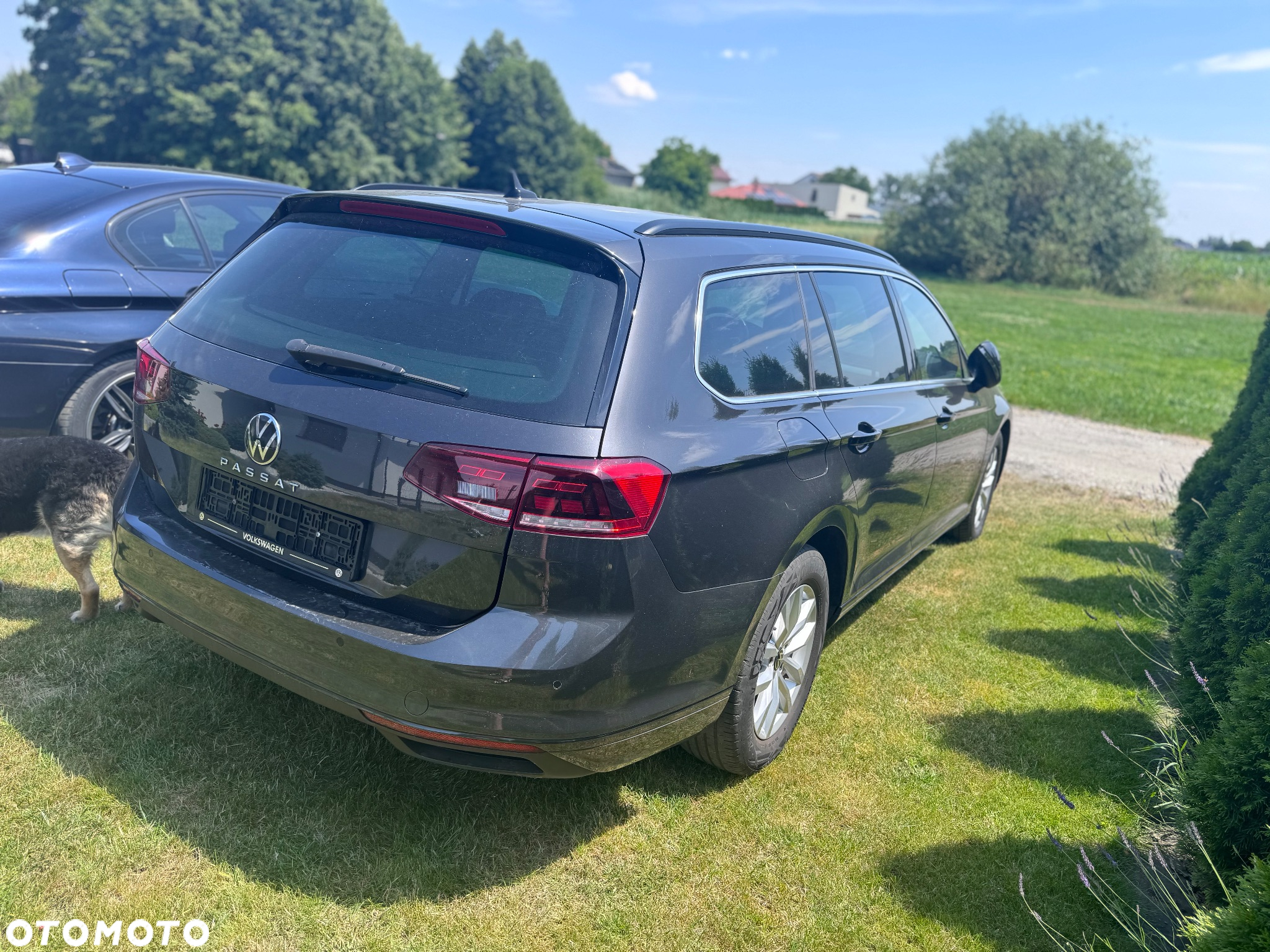 Volkswagen Passat - 9