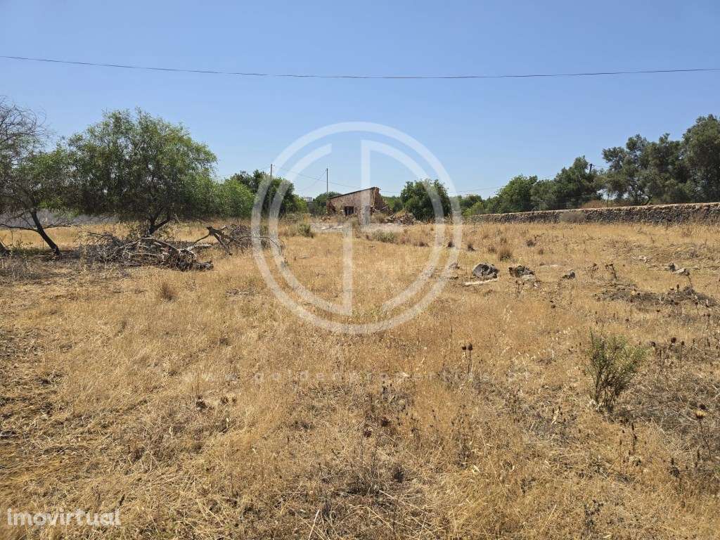 Terreno em Falfosa, Santa Barbara de Nexe, Faro - Grande imagem: 3/12