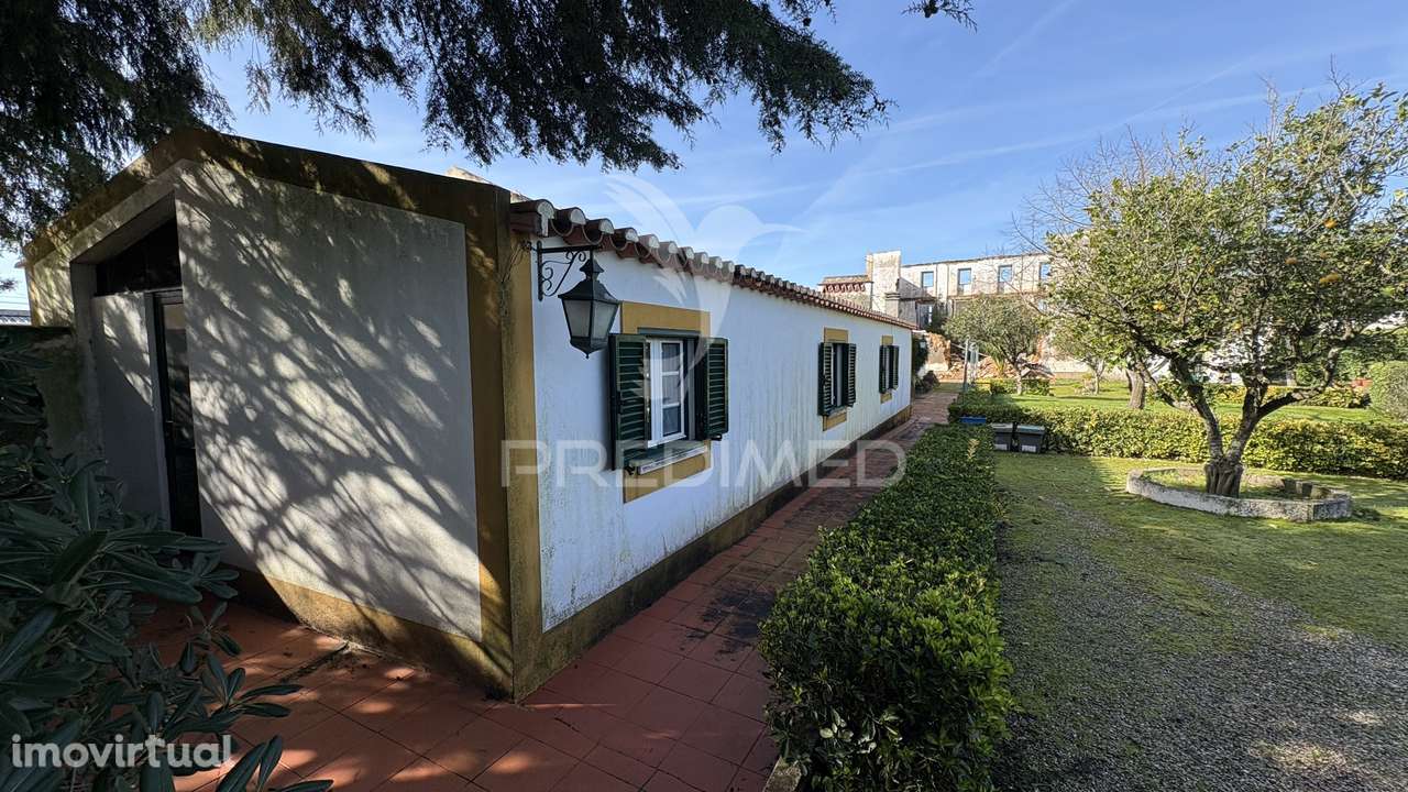 Quinta Rústica para Venda em Montalvo – 12 Hectares de Oportunidade - Grande imagem: 4/24