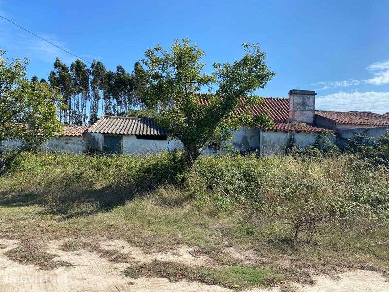 Terreno na Avenida do Frade, 21 - Silveira - Grande imagem: 2/8