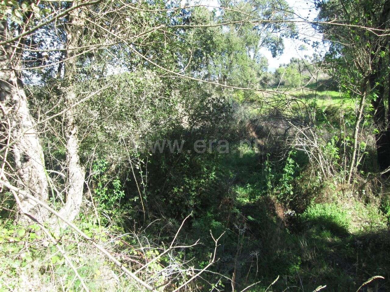 Terreno / Fundão, Telhado - Grande imagem: 2/6