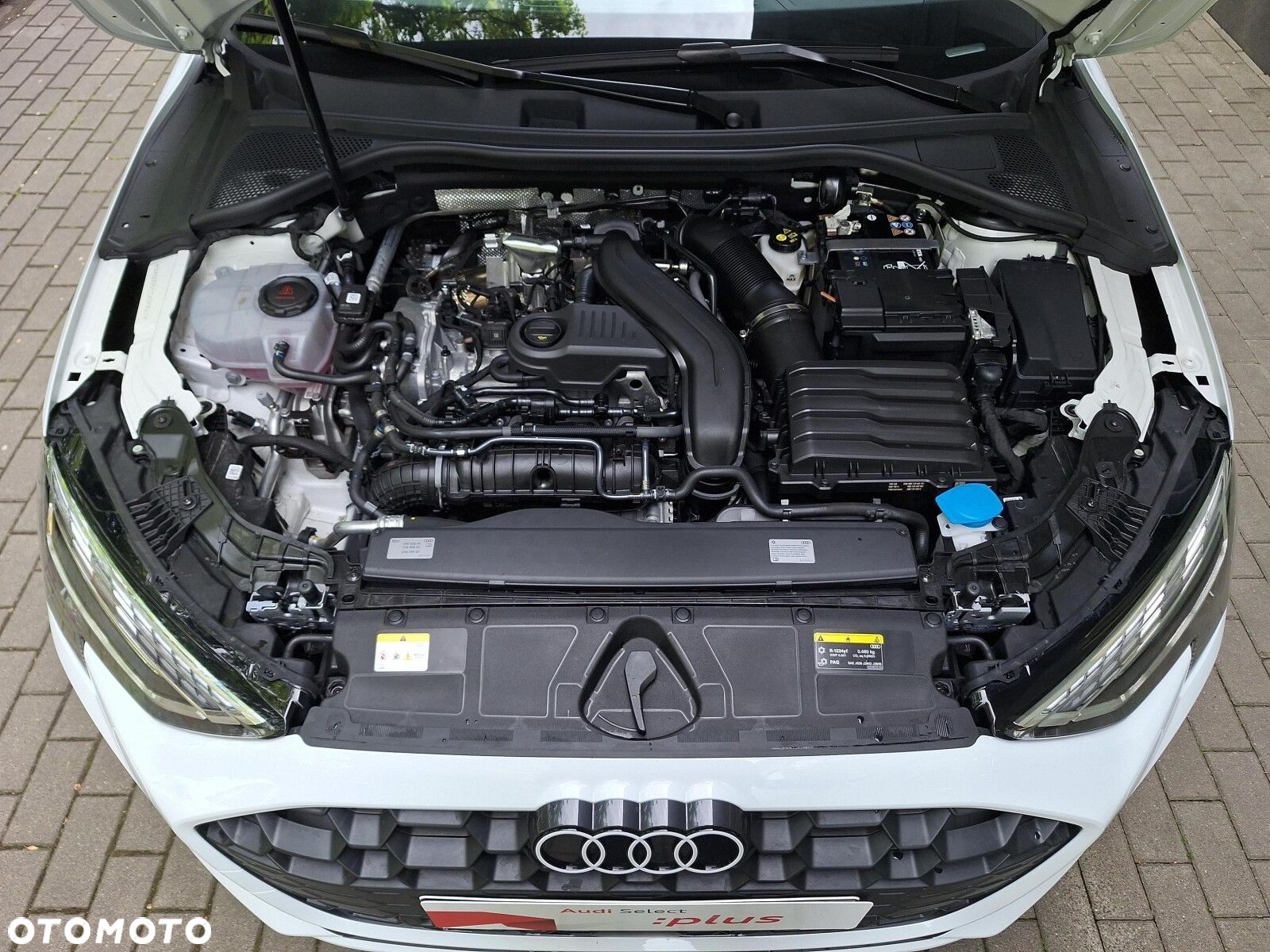 Audi A3 - 17