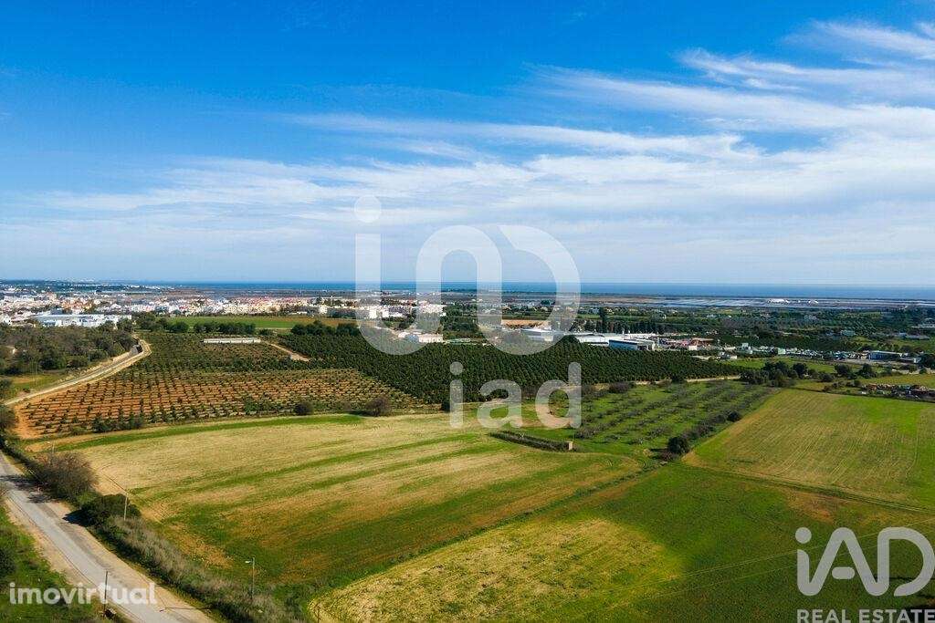 Casa / Villa T12 em Tavira (Santa Maria e Santiago) de 955,00 m2 - Grande imagem: 5/30