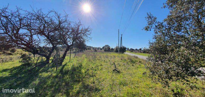 Terreno Terena S.Pedro  EN  255 Alandroal - Grande imagem: 4/6