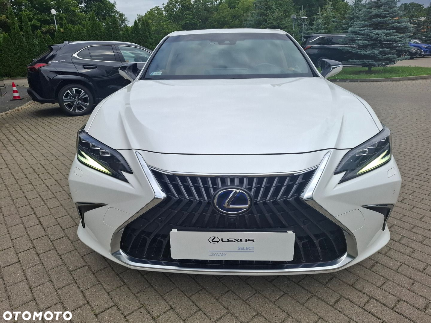 Lexus ES 300h Omotenashi - 8