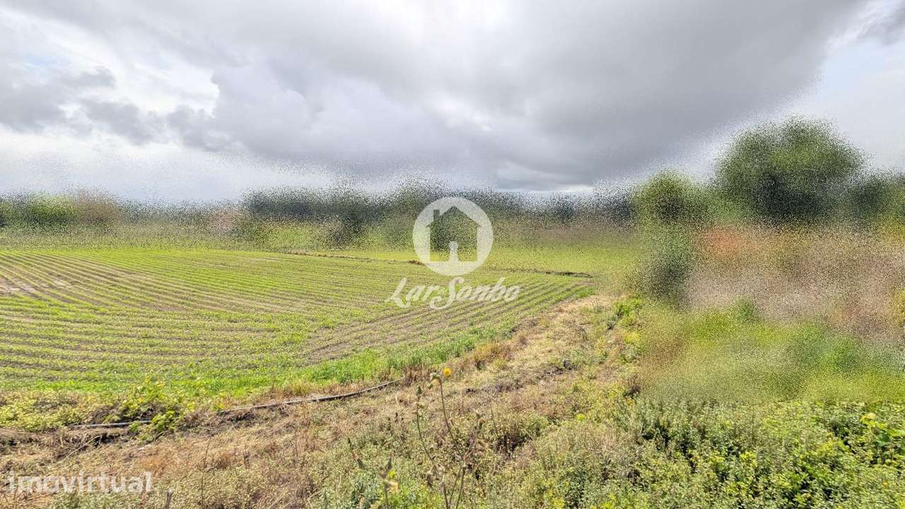 Terreno à Venda na Junqueira - Grande imagem: 5/18