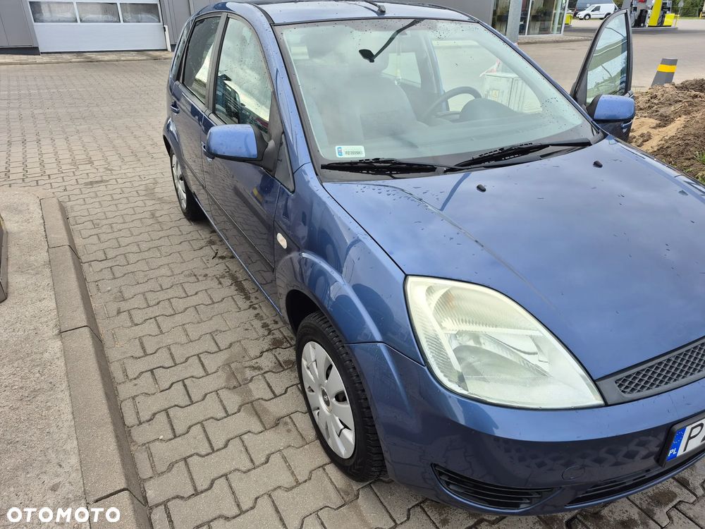 Ford Fiesta 1.25 X100 / FX Gold - 21