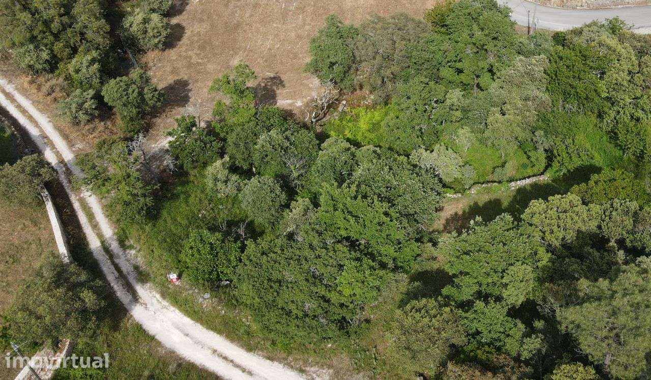 Terreno para construção, Fátima - Grande imagem: 2/9