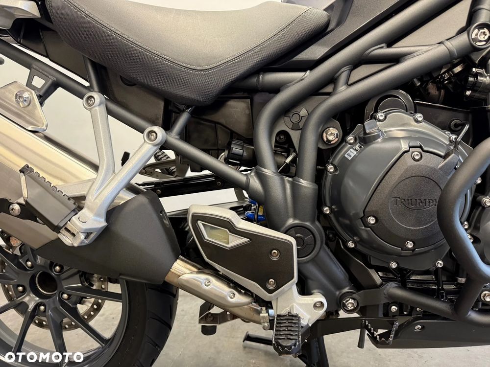 Triumph Tiger - 31