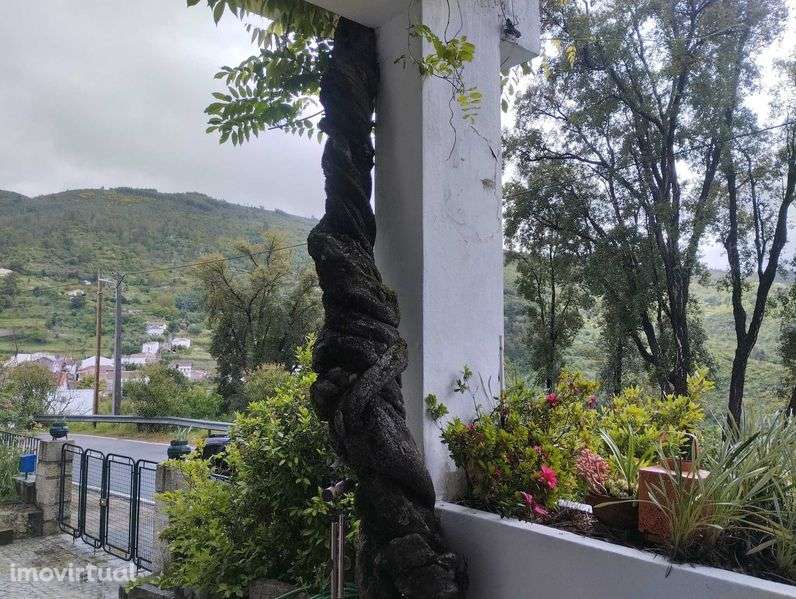 Andar moradia T1 para alugar - Grande imagem: 5/7