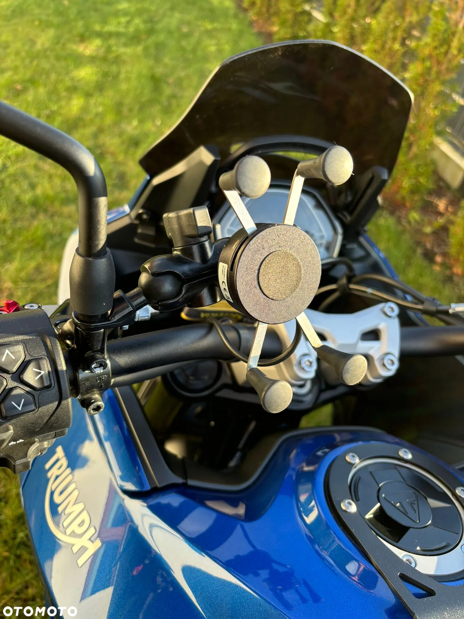 Triumph Tiger - 19