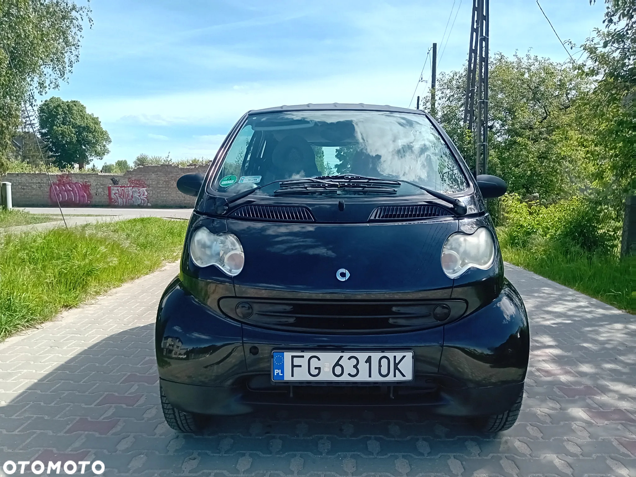 Smart Fortwo & pure - 14