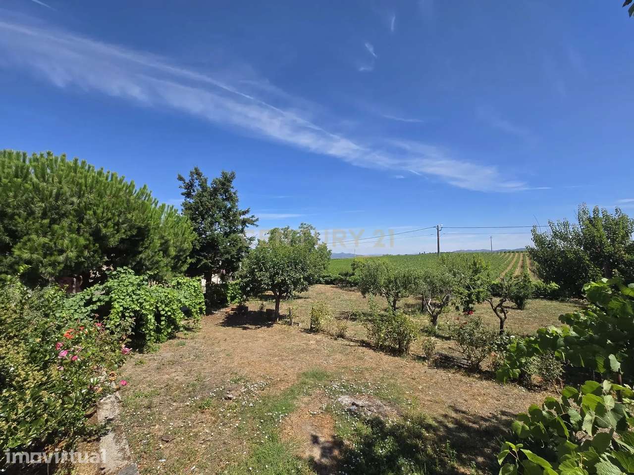 Quinta Típica em São João da Pesqueira com Vista Panorâmica - Grande imagem: 2/31