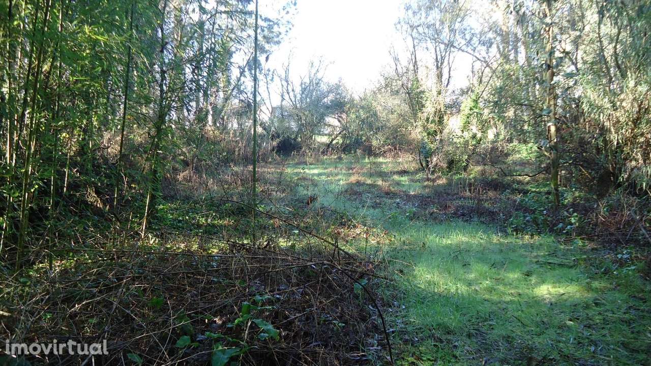 Terreno próximo de Aveiro - Grande imagem: 3/21