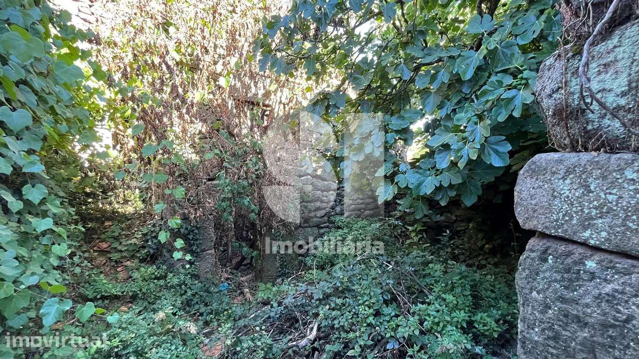 Duas Ruínas para Recuperar com Terreno na Região Demarcada do Douro - Grande imagem: 5/19