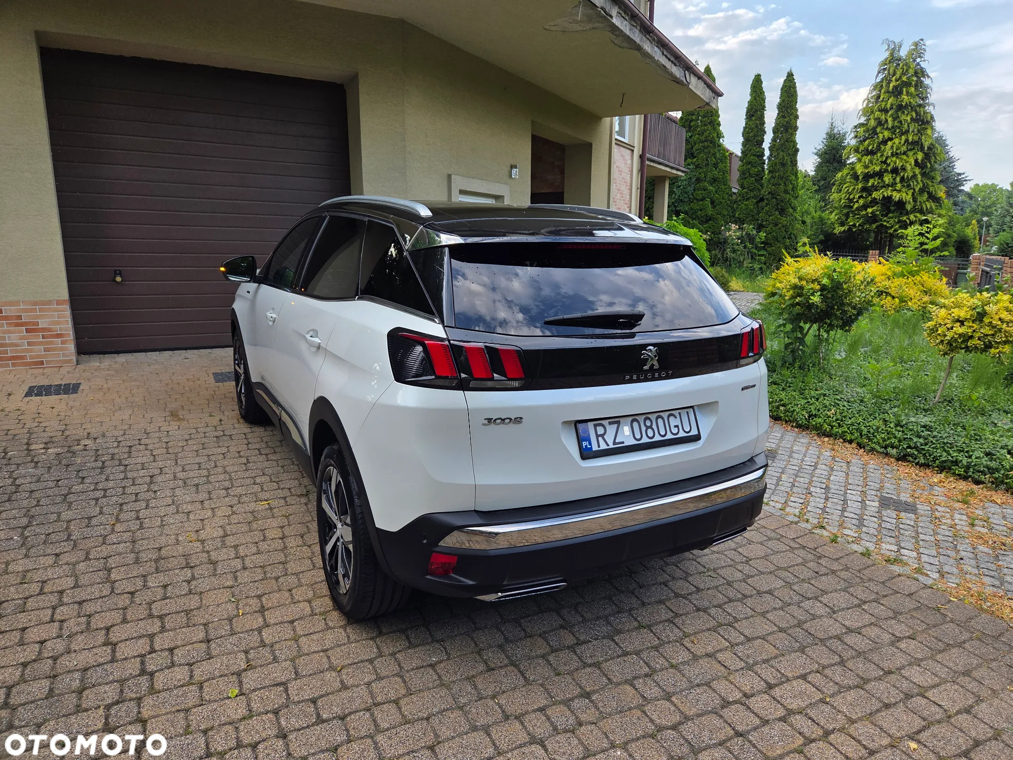 Peugeot 3008 1.5 BlueHDi GT S&S EAT8 - 6