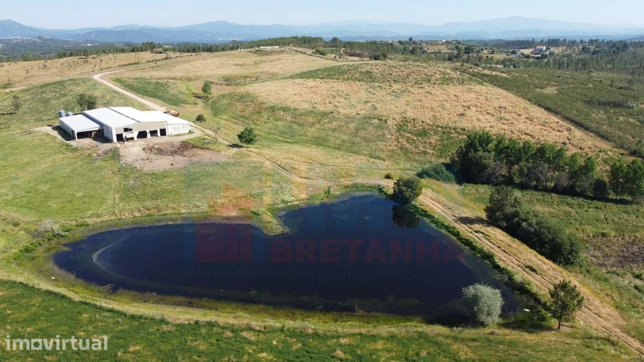 Herdade com 14Ha -Lomba Chã- Sarzedas - 20 min de Castelo Branco - Grande imagem: 2/49