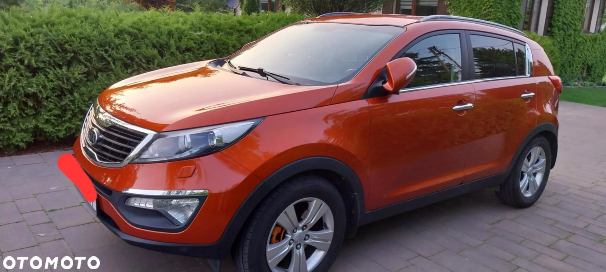 Kia Sportage - 1