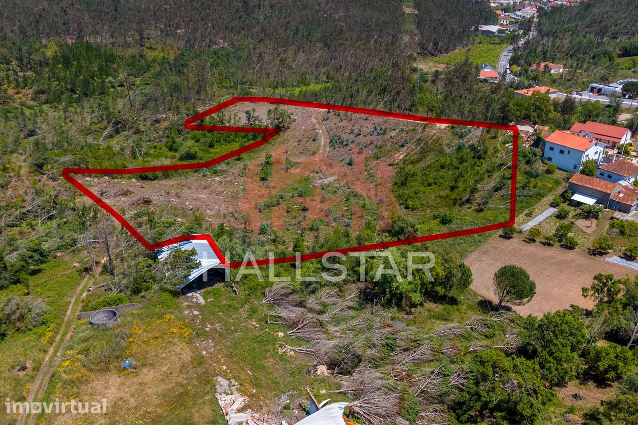 Terreno para Construção / Índice de 0.5 / Arrabal - Grande imagem: 3/13
