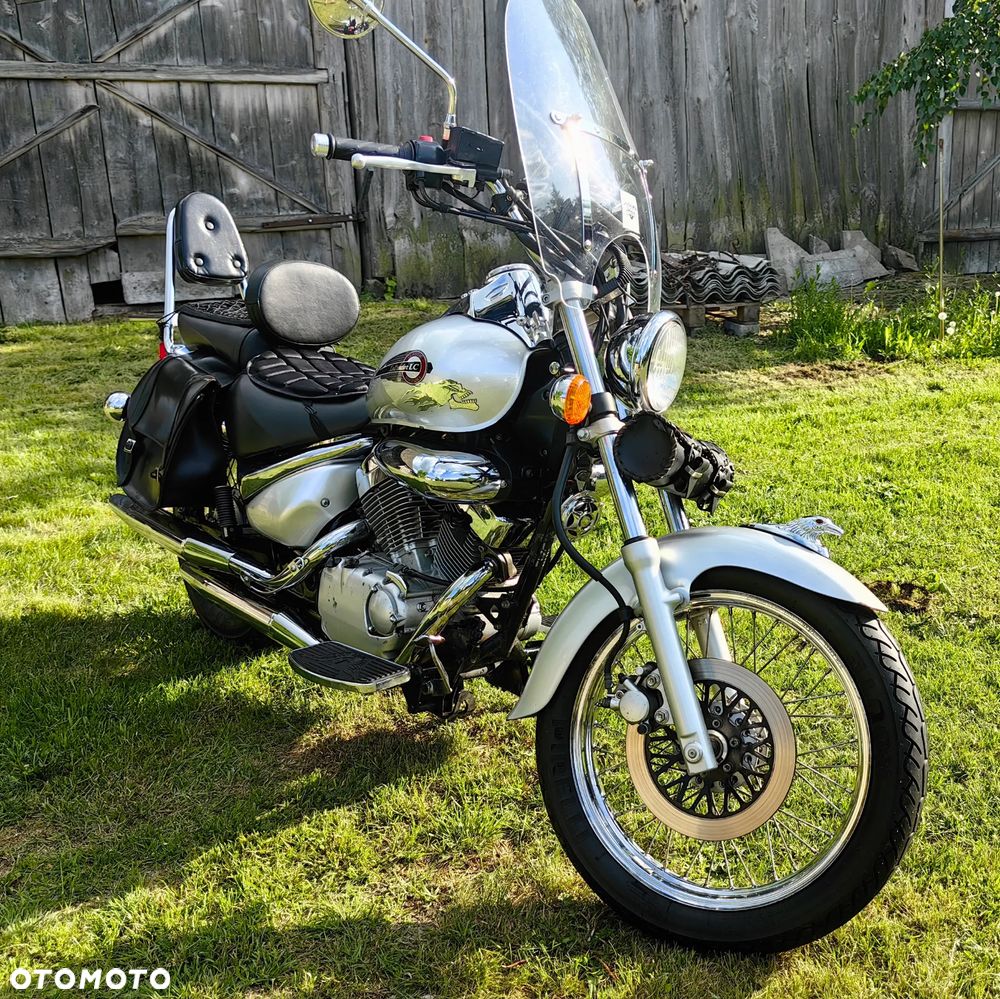 Suzuki Intruder - 5