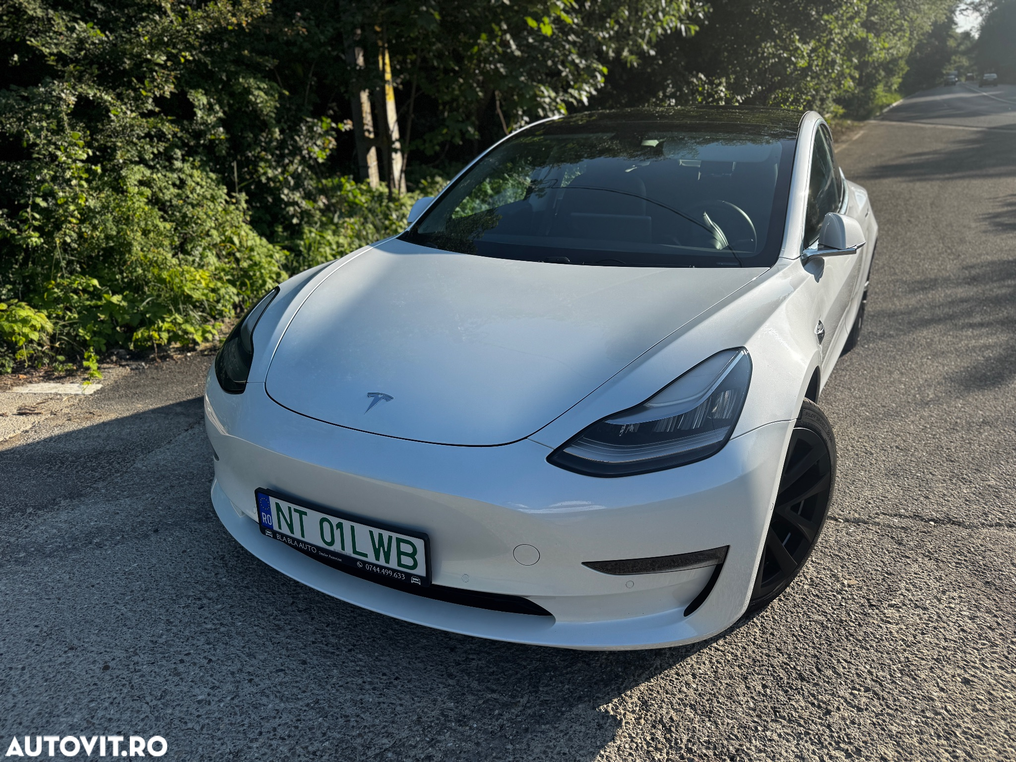 Tesla Model 3 AWD Dual Motor - 18