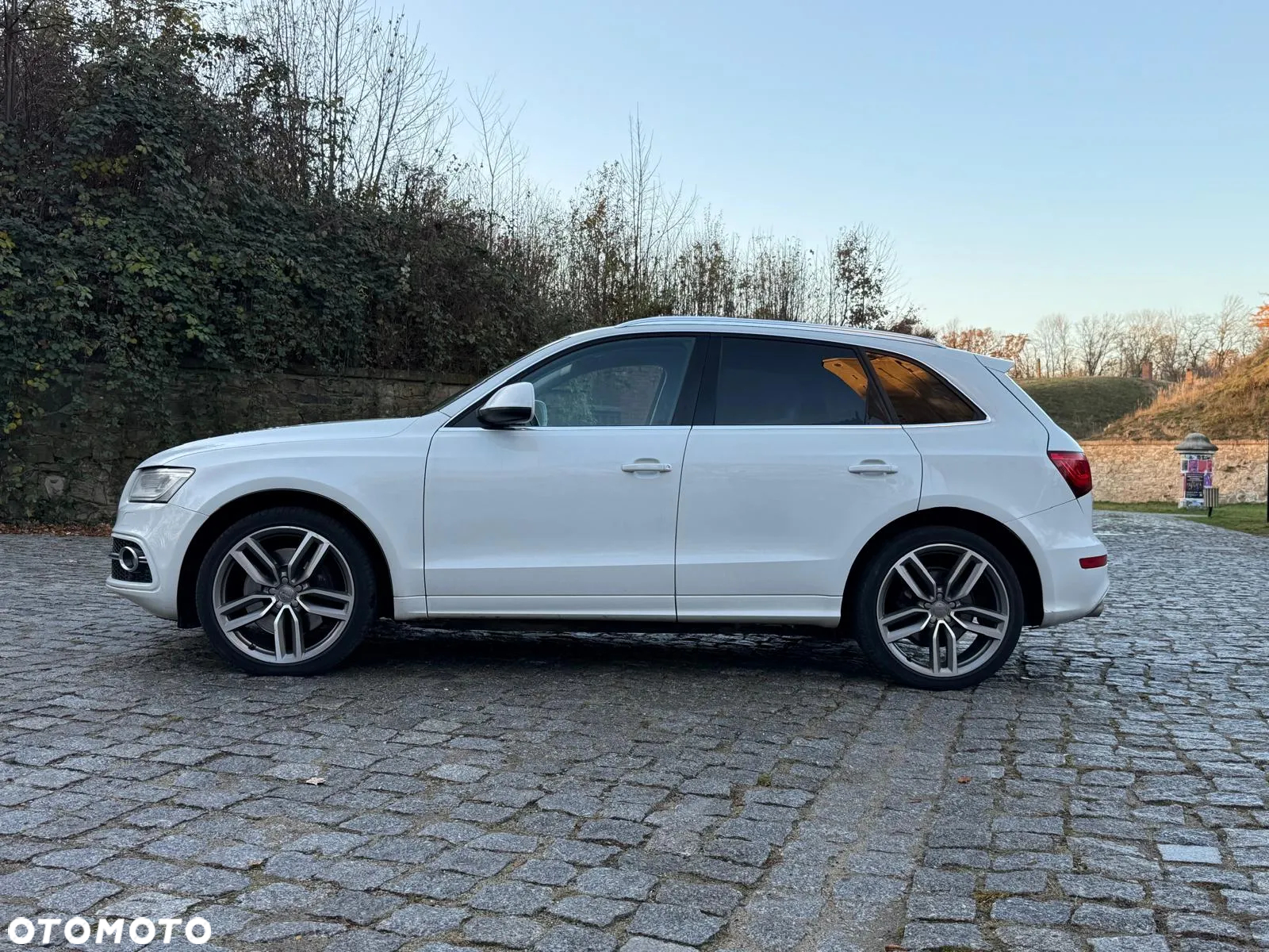 Audi SQ5 - 3