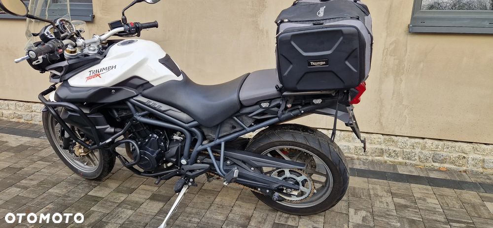 Triumph Tiger - 14