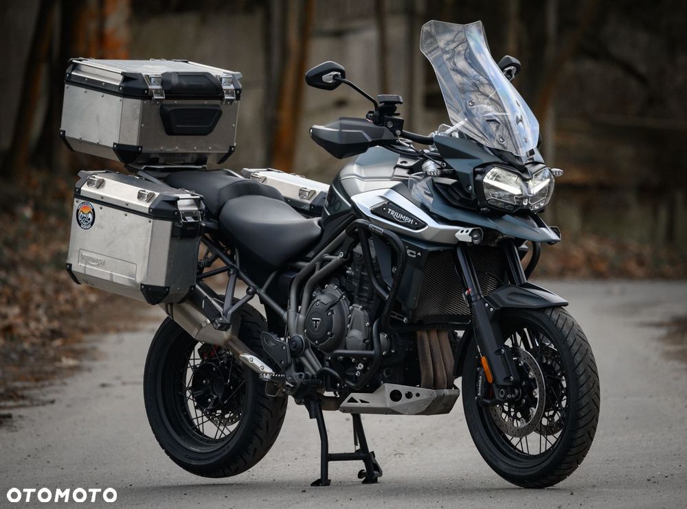 Triumph Tiger - 31