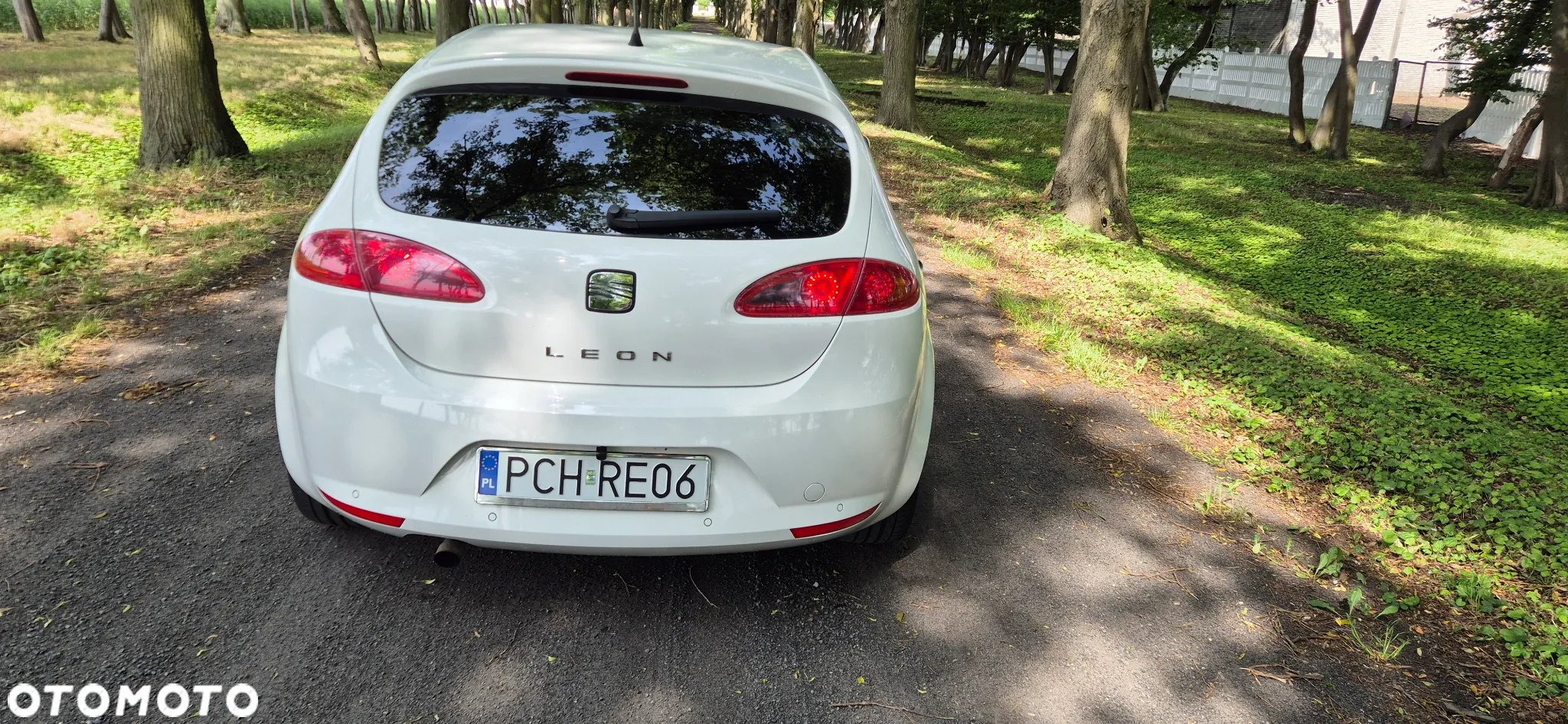 Seat Leon - 16