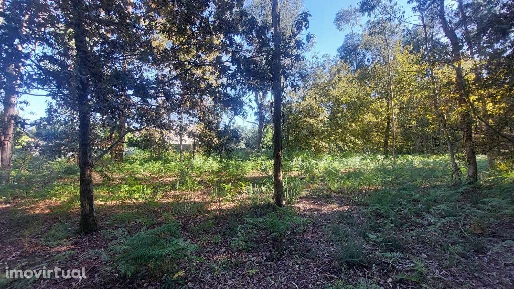 Terreno - Fiscal - Grande imagem: 5/9