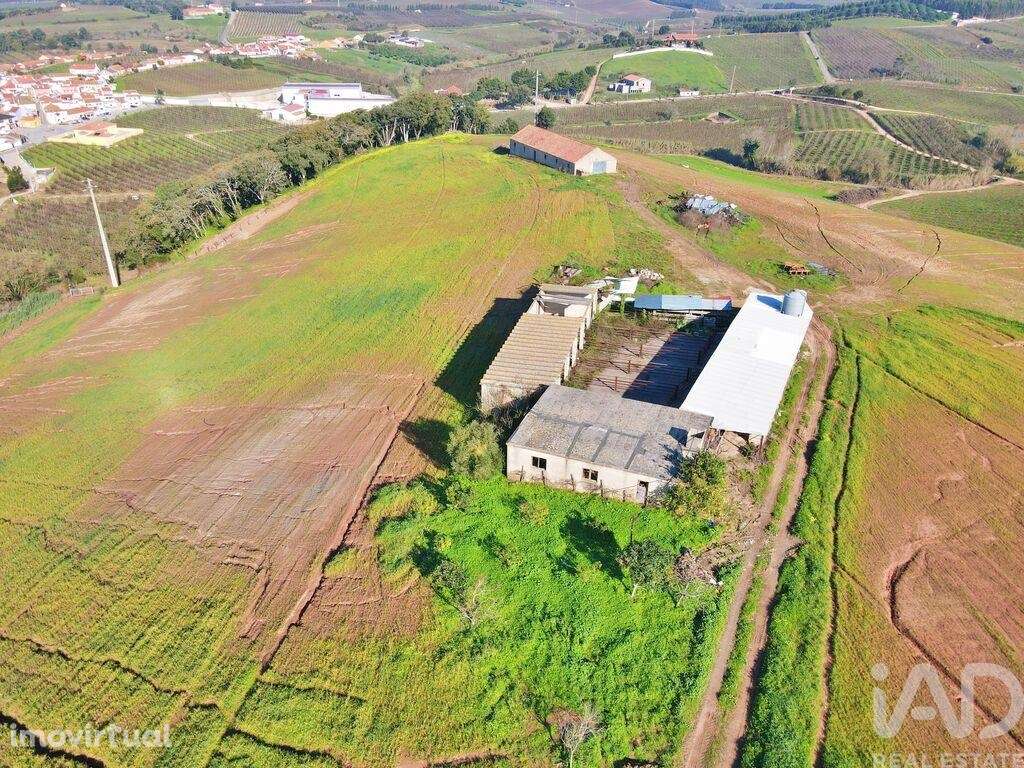 Quinta em Peral de 92520,00 m2 - Grande imagem: 3/30