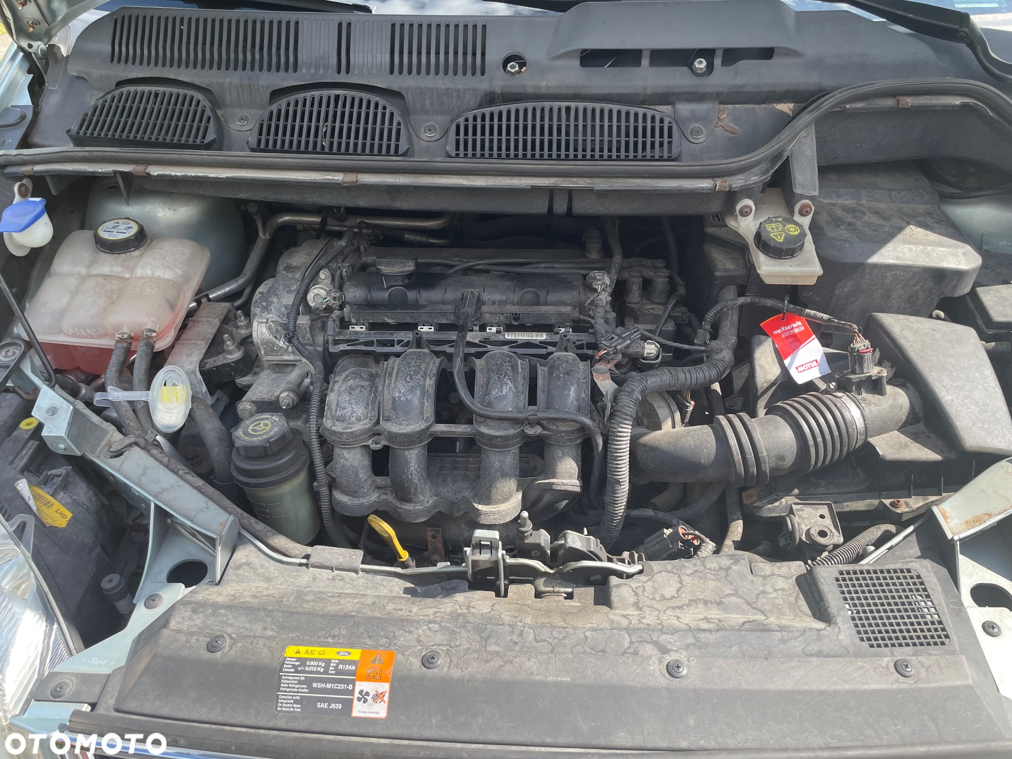 Ford Focus C-Max - 14