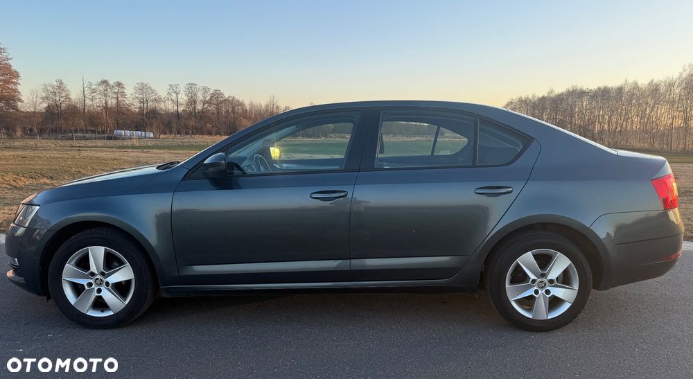 Skoda Octavia 1.6 TDI Active - 13