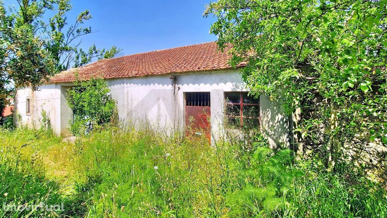 Moradia independente em Madalena e Beselga, Tomar - Grande imagem: 3/22