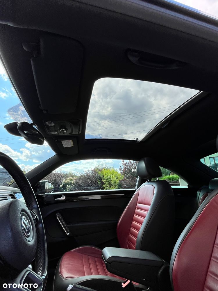 Volkswagen Beetle - 11